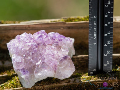 AMETHYST Raw Crystal Cluster - Birthstone, Unique Gift, Home Decor, Boho Decor, 39944-Throwin Stones