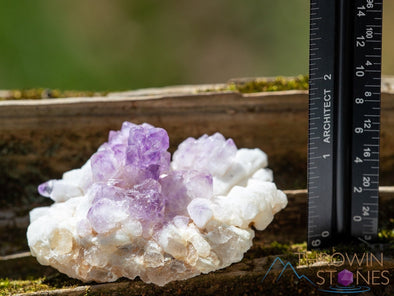AMETHYST Raw Crystal Cluster - Birthstone, Unique Gift, Home Decor, Boho Decor, 39945-Throwin Stones