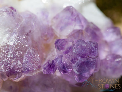 AMETHYST Raw Crystal Cluster - Birthstone, Unique Gift, Home Decor, Boho Decor, 39945-Throwin Stones