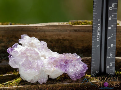AMETHYST Raw Crystal Cluster - Birthstone, Unique Gift, Home Decor, Boho Decor, 39946-Throwin Stones