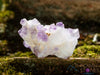 AMETHYST Raw Crystal Cluster - Birthstone, Unique Gift, Home Decor, Boho Decor, 39946-Throwin Stones