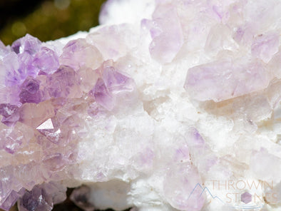 AMETHYST Raw Crystal Cluster - Birthstone, Unique Gift, Home Decor, Boho Decor, 39946-Throwin Stones