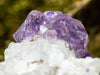 AMETHYST Raw Crystal Cluster - Birthstone, Unique Gift, Home Decor, Boho Decor, 39948-Throwin Stones
