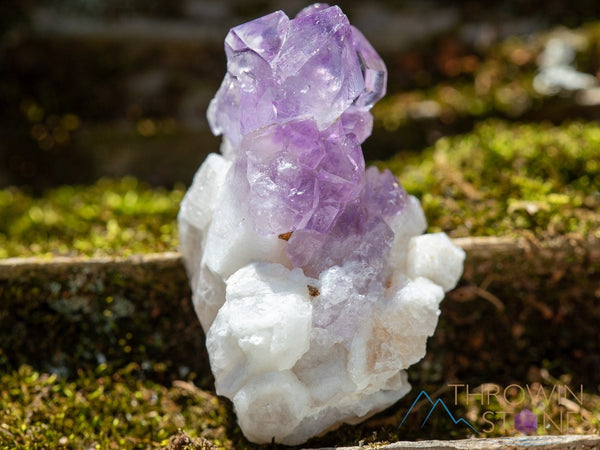 https://throwinstones.com/cdn/shop/files/AMETHYST-Raw-Crystal-Cluster-Birthstone-Unique-Gift-Home-Decor-Boho-Decor-39951_grande.jpg?v=1686366717