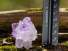 AMETHYST Raw Crystal Cluster - Birthstone, Unique Gift, Home Decor, Boho Decor, 39952-Throwin Stones
