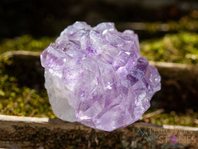 AMETHYST Raw Crystal Cluster - Birthstone, Unique Gift, Home Decor, Boho Decor, 39953-Throwin Stones