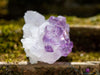 AMETHYST Raw Crystal Cluster - Birthstone, Unique Gift, Home Decor, Boho Decor, 39954-Throwin Stones