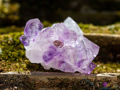 AMETHYST Raw Crystal Cluster - Birthstone, Unique Gift, Home Decor, Boho Decor, 39954-Throwin Stones