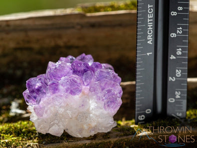 AMETHYST Raw Crystal Cluster - Birthstone, Unique Gift, Home Decor, Boho Decor, 39955-Throwin Stones