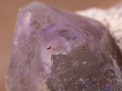 AMETHYST Raw Crystal Cluster - Birthstone, Unique Gift, Home Decor, Boho Decor, 40458-Throwin Stones
