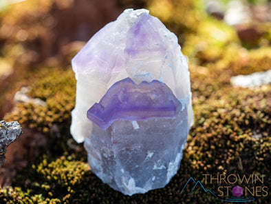 AMETHYST Raw Crystal Cluster - Scepters - Housewarming Gift, Home Decor, Raw Crystals and Stones, 39772-Throwin Stones