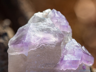 AMETHYST Raw Crystal Cluster - Scepters - Housewarming Gift, Home Decor, Raw Crystals and Stones, 39772-Throwin Stones