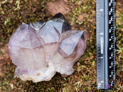 AMETHYST SMOKY QUARTZ Raw Crystal Cluster - Birthstone, Unique Gift, Home Decor, 39898-Throwin Stones
