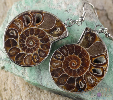 AMMONITE Fossil Earrings - Ammolite, Opalized Ammonite, Statement Earrings, Dangle Earrings, E0283-Throwin Stones