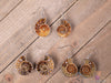 AMMONITE Fossil Earrings - Ammolite, Opalized Ammonite, Statement Earrings, Dangle Earrings, E0283-Throwin Stones