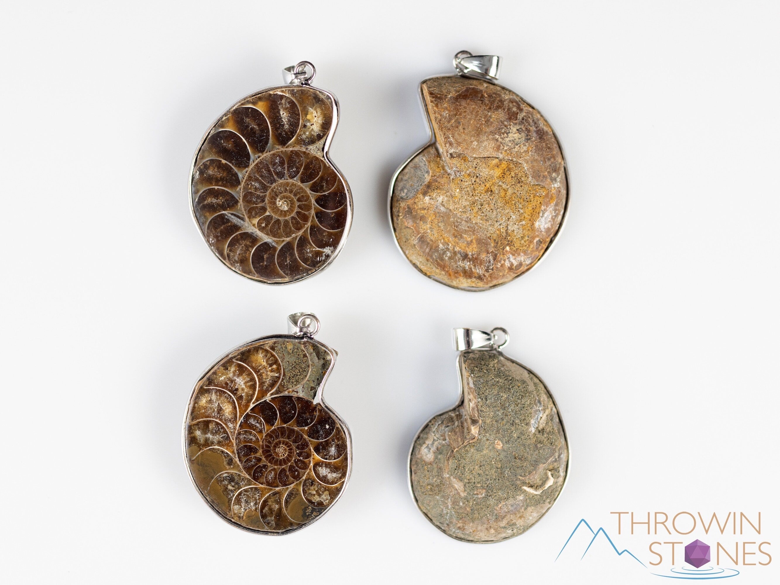 AMMONITE Fossil Pendant - Polished Ammonite, Small Ammonite, Real