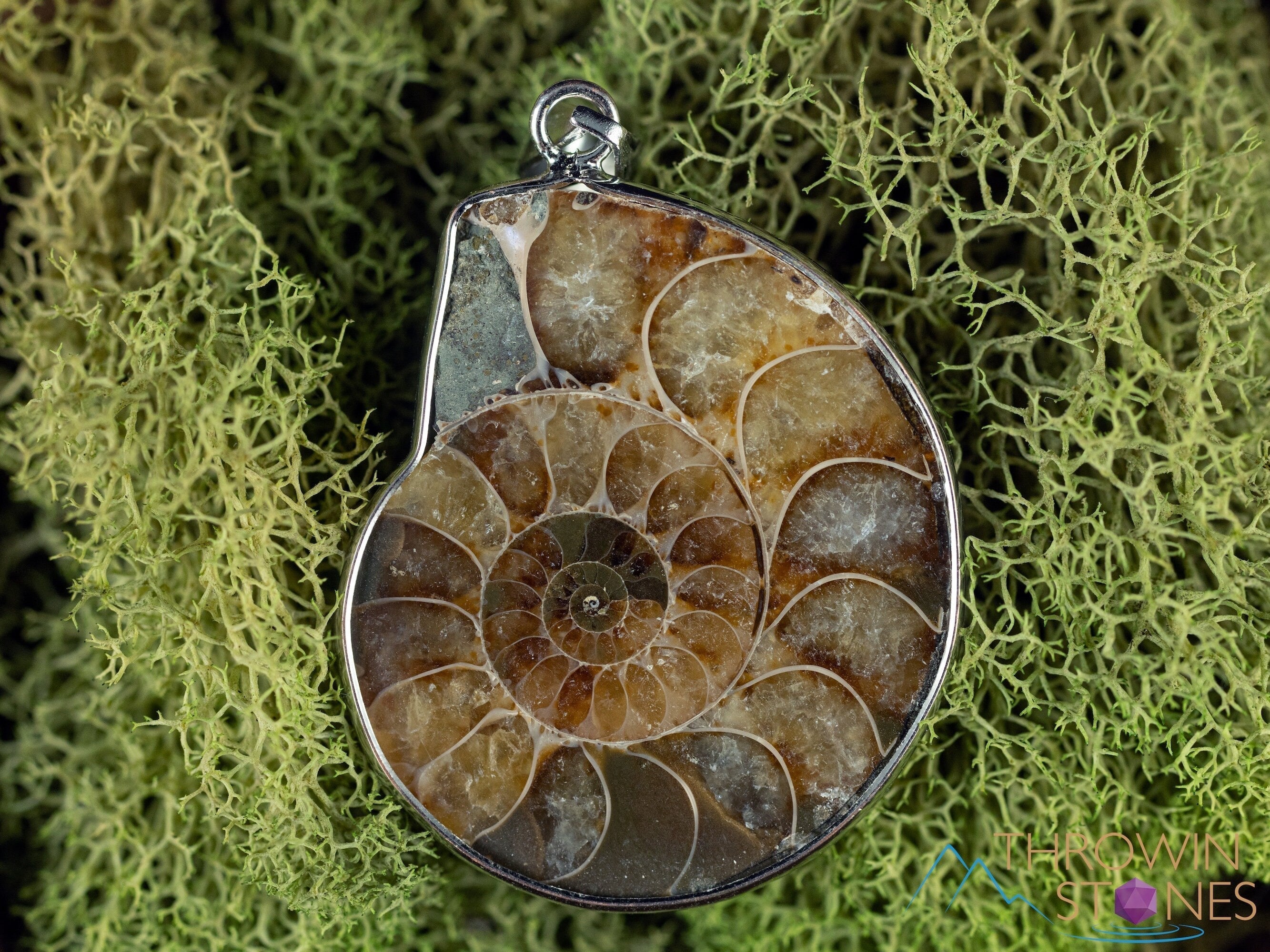 AMMONITE Fossil Pendant - Polished Ammonite, Small Ammonite, Real