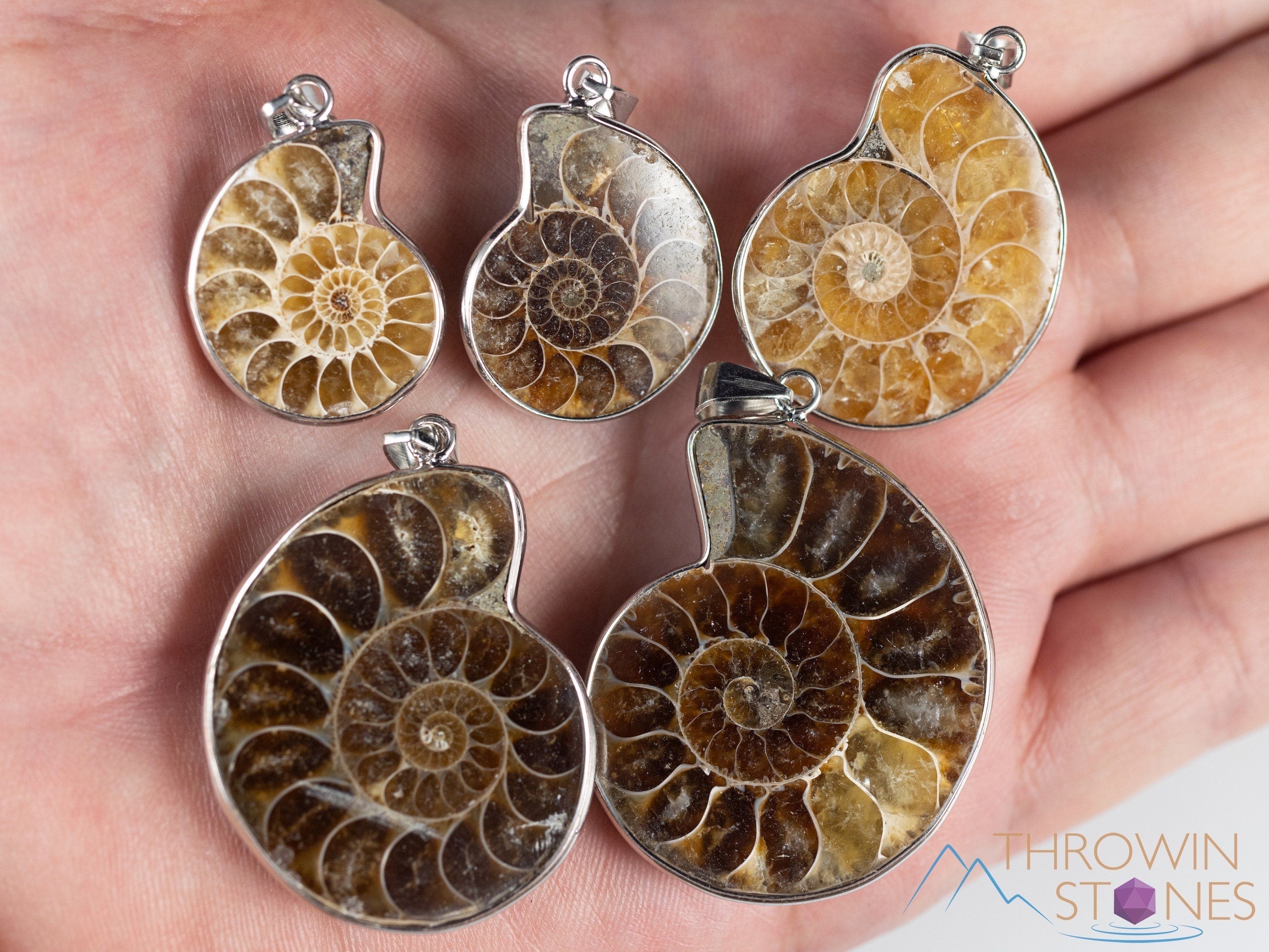 AMMONITE Fossil Pendant - Polished Ammonite, Small Ammonite