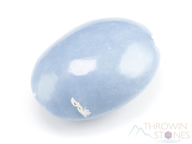 ANGELITE Crystal Palm Stone - Worry Stone, Self Care, Healing Crystals and Stones, E0926-Throwin Stones