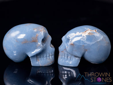 ANGELITE Crystal Skull - Gothic Home Decor, Memento Mori, Halloween Decor, Pastel Goth, E0894-Throwin Stones