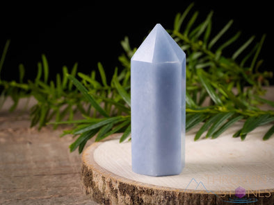 ANGELITE Crystal Tower - Crystal Wand, Crystal Points, Obelisk, Home Decor, E1274-Throwin Stones