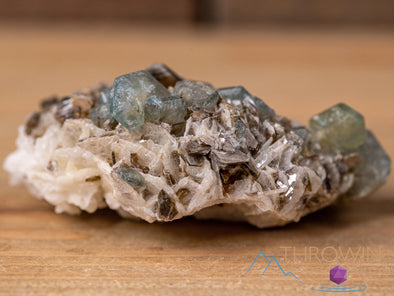 APATITE on FELDSPAR w MUSCOVITE Raw Crystal Cluster - Housewarming Gift, Home Decor, Raw Crystals and Stones, 40679-Throwin Stones