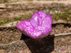 AURA QUARTZ, Ruby Pink - Rainbow Quartz Crystal, Crystal Cluster, Spirit Quartz, Metaphysical, Crystal Decor, R0580-Throwin Stones