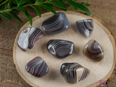 BANDED AGATE Tumbled Stones - Tumbled Crystals, Self Care, Healing Crystals and Stones, E1377-Throwin Stones