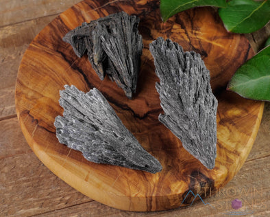 BLACK KYANITE Raw Crystal Fan - Metaphysical, Home Decor, Raw Crystals and Stones, E0836-Throwin Stones