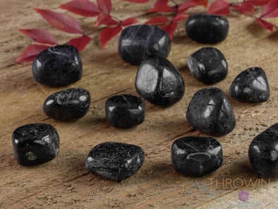 BLACK TOURMALINE Tumbled Healing Crystals and Stones, Self Care Gift, EMF and Empath Protection, E0846-Throwin Stones