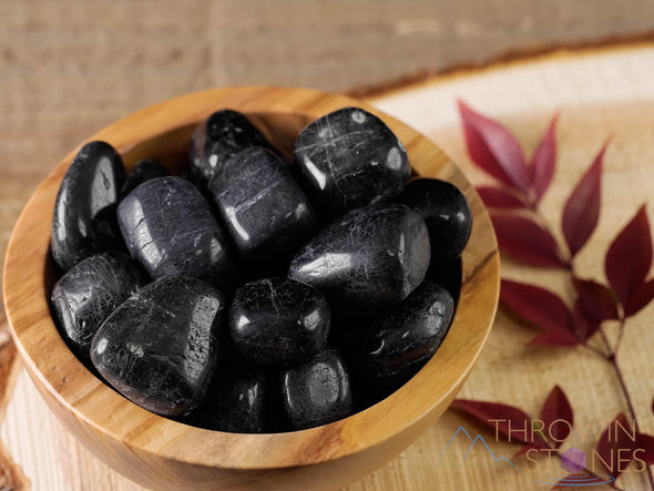 BLACK TOURMALINE Tumbled Healing Crystals and Stones, Self Care Gift, EMF and Empath Protection, E0846-Throwin Stones