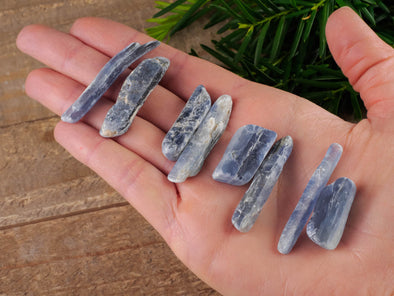 BLUE KYANITE Crystals - Tumbled Healing Stones, Self Care Gift, E0012-Throwin Stones