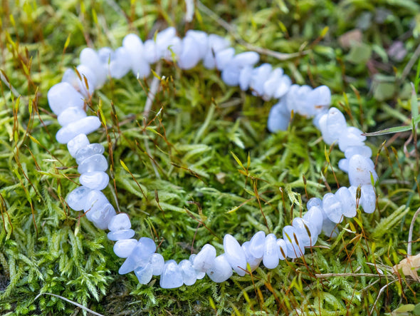 BLUE LACE AGATE Crystal Bracelet - Chip Beads - Beaded Bracelet, Handmade Jewelry, Healing Crystal Bracelet, E1775-Throwin Stones