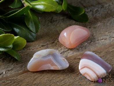 BOTSWANA AGATE Tumbled Stones - Tumbled Crystals, Self Care, Healing Crystals and Stones, E0022-Throwin Stones