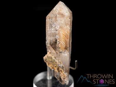 BRANDBERG SMOKY QUARTZ Raw Crystal, Manifestation Crystal - Housewarming Gift, Home Decor, Raw Crystals and Stones, 40111-Throwin Stones