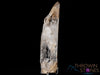 BRANDBERG SMOKY QUARTZ Raw Crystal w Enhydro, Manifestation Crystal - Housewarming Gift, Home Decor, Raw Crystals and Stones, 40127-Throwin Stones