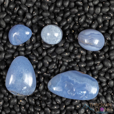 Blue CHALCEDONY Crystals - Tumbled Healing Stones, Self Care Gift, E1424-Throwin Stones