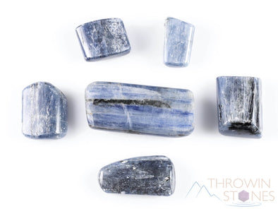 Blue KYANITE Tumbled Stones - Tumbled Crystals, Self Care, Healing Crystals and Stones, E1026-Throwin Stones