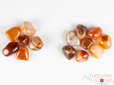 CARNELIAN Tumbled Stones - Tumbled Crystals, Self Care, Healing Crystals and Stones, E0213-Throwin Stones