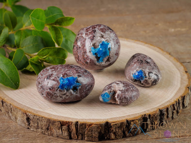 CAVANSITE Tumbled Stones - Natural Polished Crystals, Chakra Rocks, Self Care, E0219-Throwin Stones