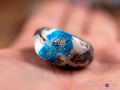 CAVANSITE Tumbled Stones - Natural Polished Crystals, Chakra Rocks, Self Care, E0219-Throwin Stones