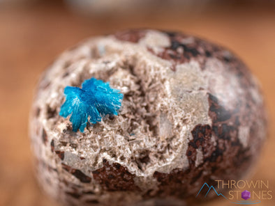 CAVANSITE Tumbled Stones - Natural Polished Crystals, Chakra Rocks, Self Care, E0219-Throwin Stones