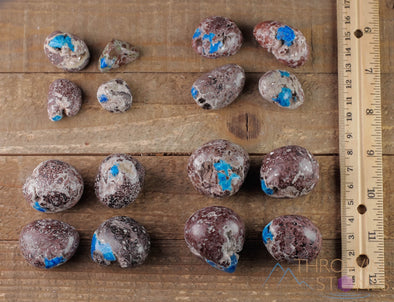 CAVANSITE Tumbled Stones - Natural Polished Crystals, Chakra Rocks, Self Care, E0219-Throwin Stones