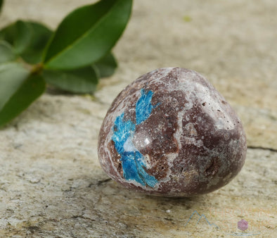 CAVANSITE Tumbled Stones - Natural Polished Crystals, Chakra Rocks, Self Care, E0219-Throwin Stones