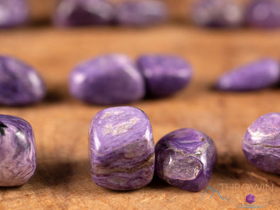 CHAROITE Tumbled Stones - Tumbled Crystals, Self Care, Metaphysical Healing Pocket Rocks, E0024-Throwin Stones