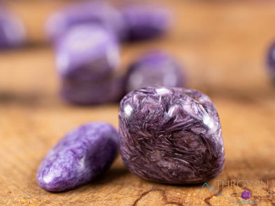 CHAROITE Tumbled Stones - Tumbled Crystals, Self Care, Metaphysical Healing Pocket Rocks, E0024-Throwin Stones
