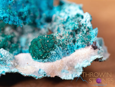 CHRYSOCOLLA Pseudomorph after AZURITE, MALACHITE Raw Crystal - Housewarming Gift, Home Decor, Raw Crystals and Stones, 40631-Throwin Stones