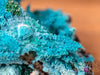 CHRYSOCOLLA Pseudomorph after AZURITE, MALACHITE Raw Crystal - Housewarming Gift, Home Decor, Raw Crystals and Stones, 40638-Throwin Stones