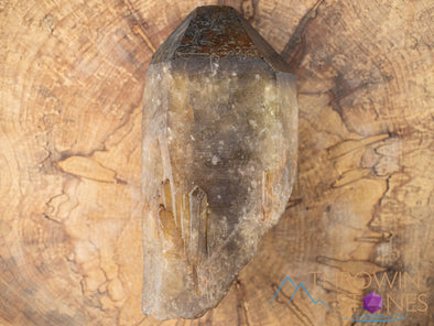 CITRINE Raw Crystal Point - Natural Citrine, Birthstone, Home Decor, Raw Crystals and Stones, 41153-Throwin Stones