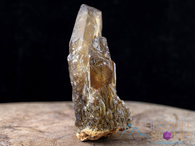 CITRINE Raw Crystal Point - Natural Citrine, Birthstone, Home Decor, Raw Crystals and Stones, 41162-Throwin Stones